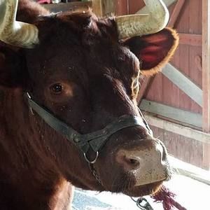 Meet your Posher, Sandy